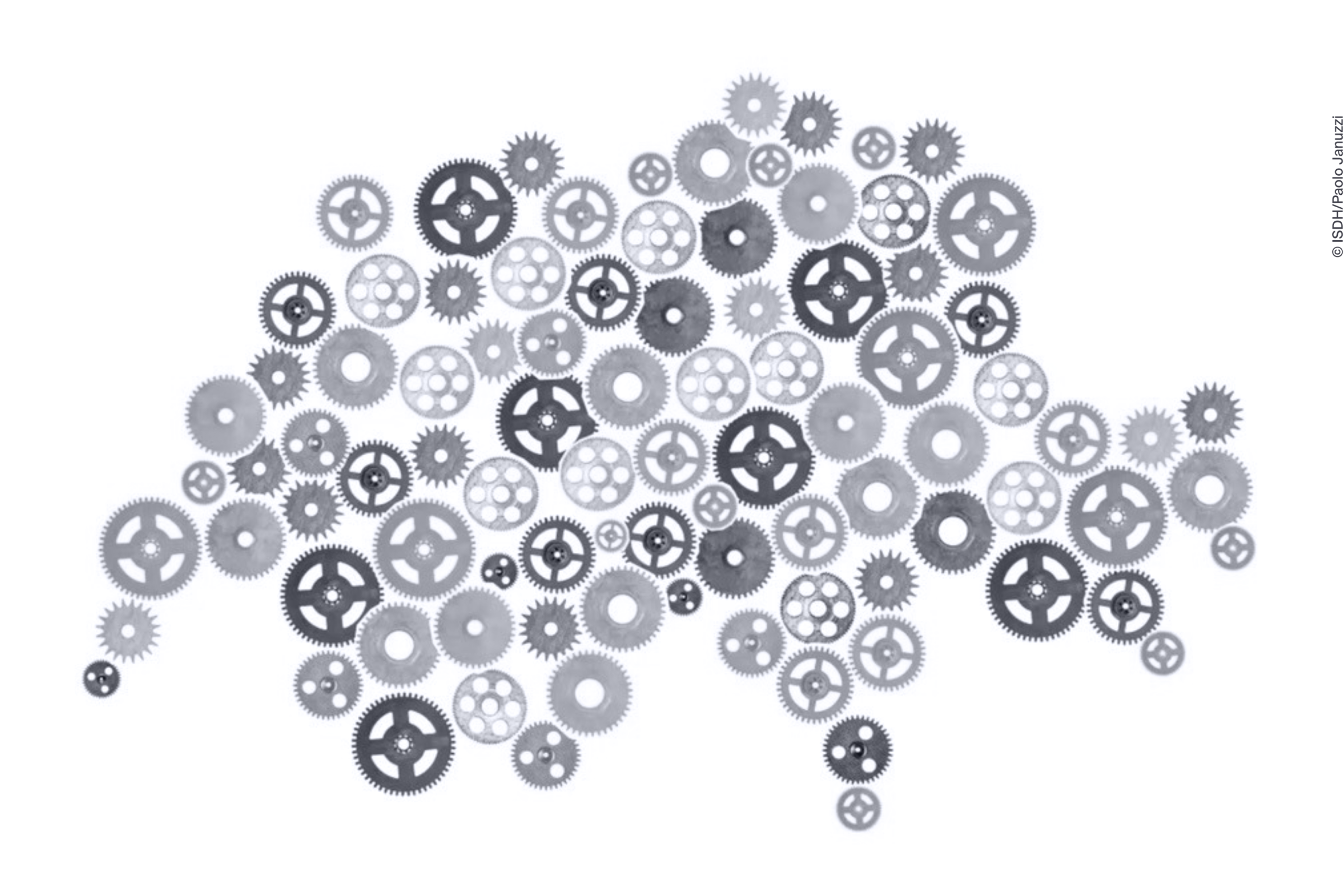 A collection of clogs of different shapes and sizes form the map of Switzerland.